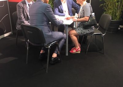 INTERSOLAR 2017-PICS (28)